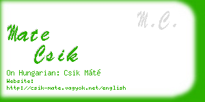 mate csik business card
